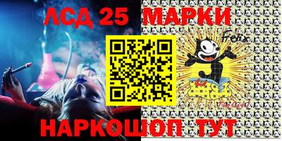 индика Лесосибирск