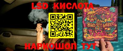 индика Лесосибирск