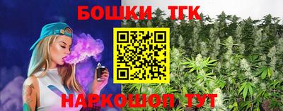 индика Лесосибирск