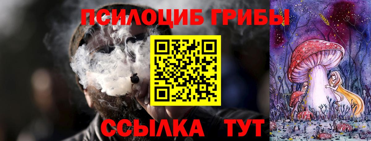 Галлюциногенные грибы Psilocybine cubensis Карталы